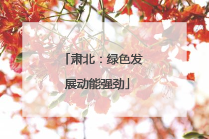 肃北：绿色发展动能强劲